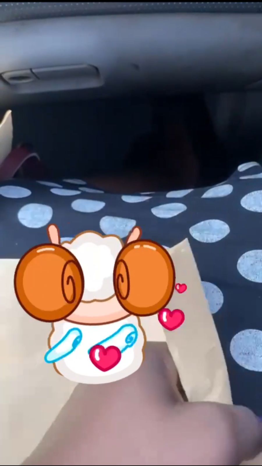 Vidéo 3
